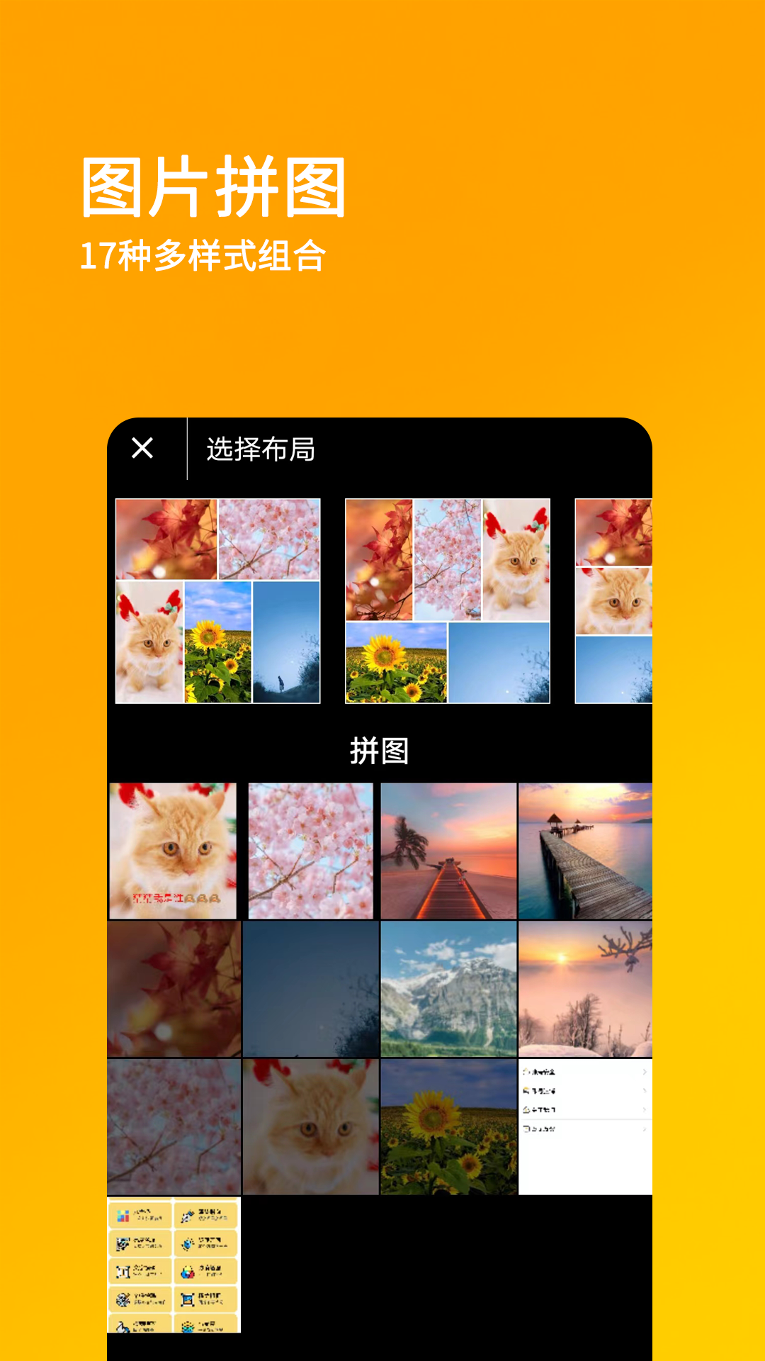 刷圈兔